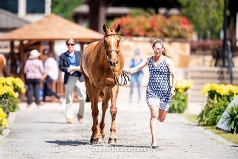 Tryon International, presented by Fairfax & Favor, Off to a Fashionable ...