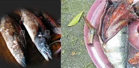 നഖങ്ങളിൽ നീലനിറം വ്യാപിച്ചു, ഹൃദയമിടിപ്പ് കൂടി... മീൻ വറുത്ത് കഴിച്ച ...