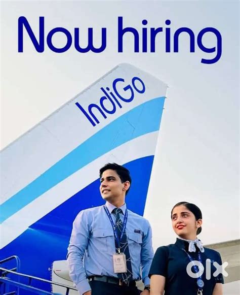Indigo Airlines jobs Vacancy for Airport Ground staf/Driver/Cabin Crew ...