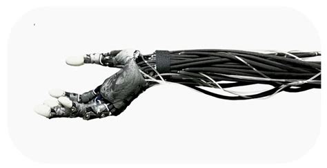 Image result for Clone