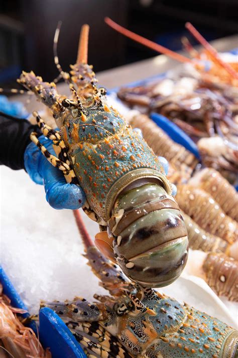 Image result for Fish Factory Tour