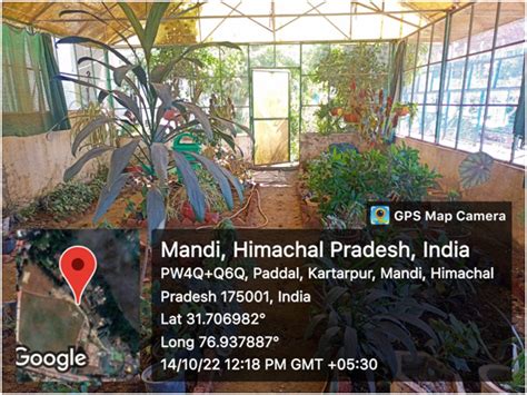 Botanical Garden | Vallabh Governmet College, Mandi, Himachal Pradesh