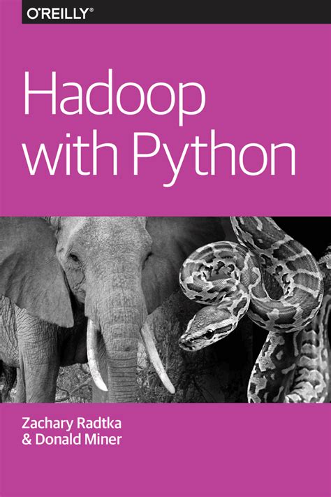 Install Hadoop Python 的图像结果