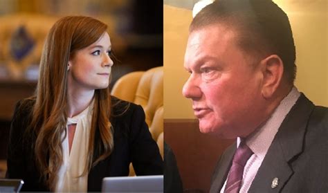 Michigan senator discusses her sexual harassment allegation against ...