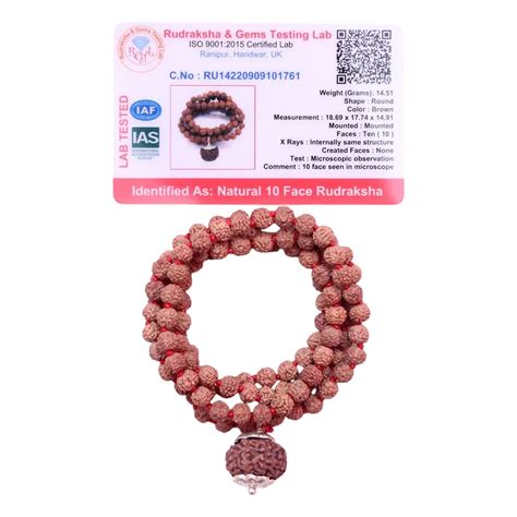 10 Mukhi Rudraksha With 5 Mukhi Rudraksha Mala – Shiv Kripa Rudraksha