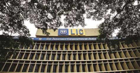 Regulations strictly followed while making investments: LIC tells govt