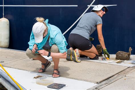 Invasion dynamics | Smithsonian Tropical Research Institute