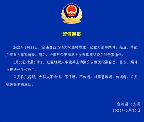 广西凭祥严厉打击非法出入境违法犯罪-中青在线