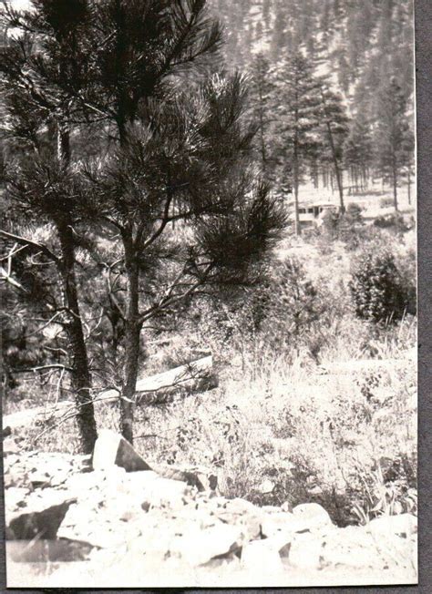Image result for History Blog Post Example