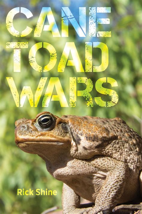 Toad Killing Toad 的图像结果