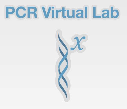 PCR Virtual Lab 的图像结果
