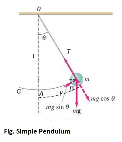 Simple Pendulum Physics Problem 的图像结果