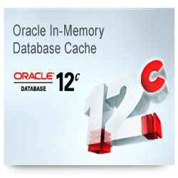 Oracle Database 12C 的图像结果