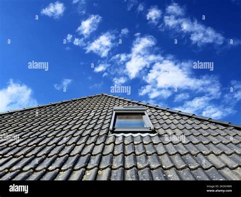 Image result for VELUX Roof Window Types