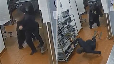 Image result for Bear Attacks Washing Machine