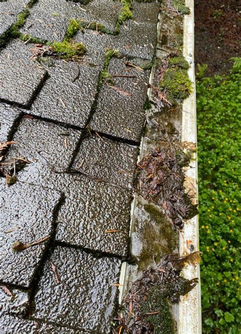 Image result for GutterStuff Review