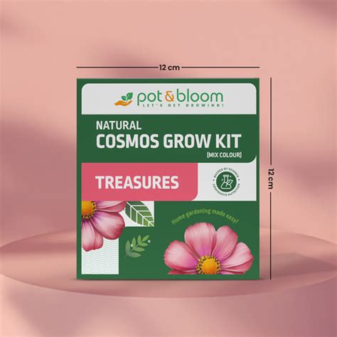Buy DIY Gardening Kits Online at Best Price - Pot and Bloom