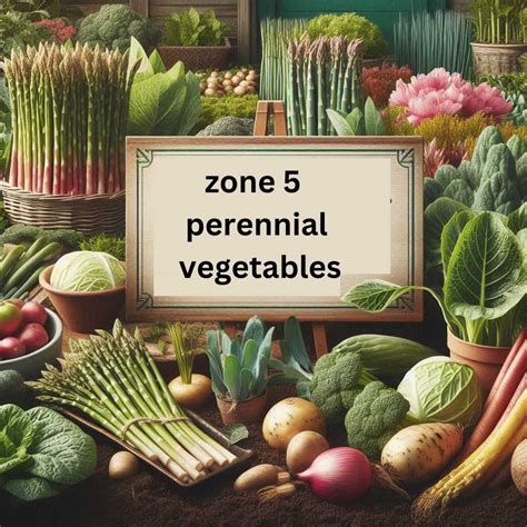 Zone 5 Perennial Vegetables: 15 Cold-Hardy Garden Vegetables