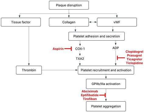 Choice of Antiplatelet vs. Anticoagulant for Blunt Cerebrovascular Injury