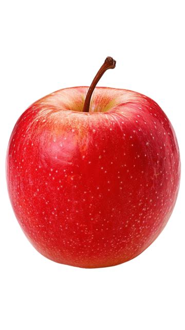 Image result for Apple Basic Programming Example