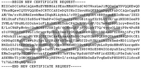 Instant Online Check CSR (Certificate Signing Request) Key Tool