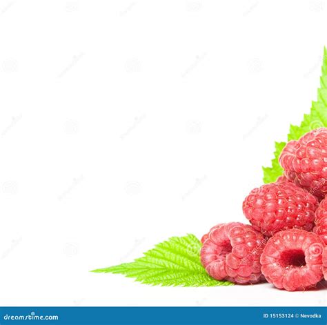 Image result for Raspberry Color Border