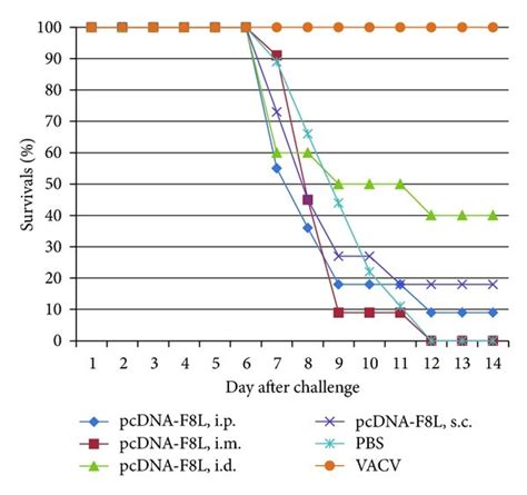 Image result for Intraperitoneal Injection of BALB/c Mice