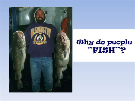 Fisheries 的图像结果