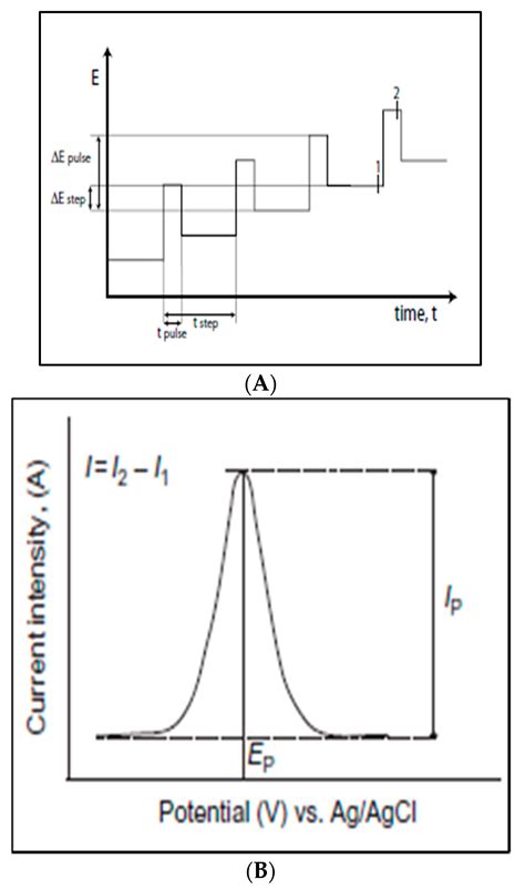 Carbon-Based Quantum Dots for Electrochemical Detection of Monoamine ...