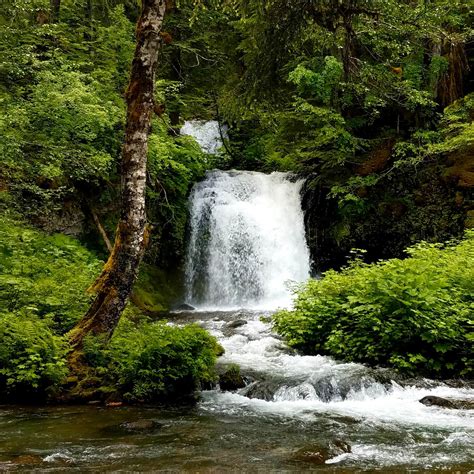 Twin Falls Camping | The Dyrt