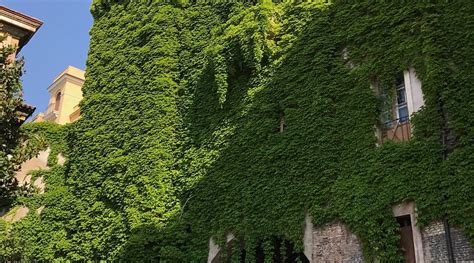 BORGIA SUITES (Rome) - Guesthouse Reviews & Photos - Tripadvisor