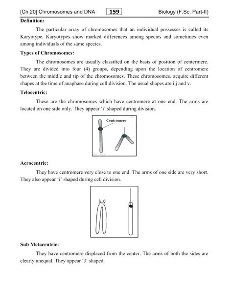 DNA Transformation Class 12 的图像结果
