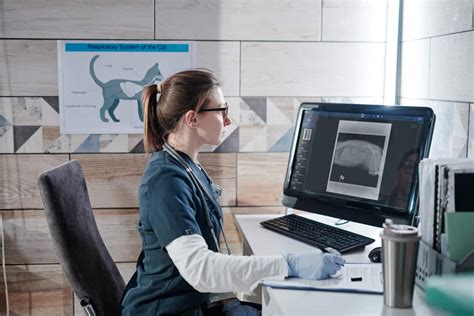 Skyline PACS | Veterinary Imaging Software by Nuon Imaging