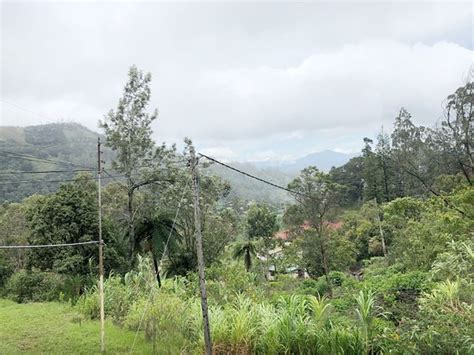 HUMBUGS (Hakgala) - Inn Reviews & Photos - Tripadvisor