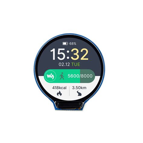 Image result for LCD Display Module 240X240 microSD