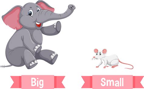 Opposite English Words big and small 6928345 Vector Art at Vecteezy