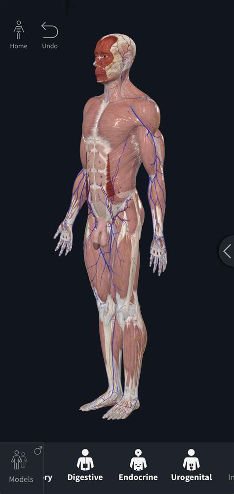 Learn About Human Anatomy in 3D With These 10 Apps