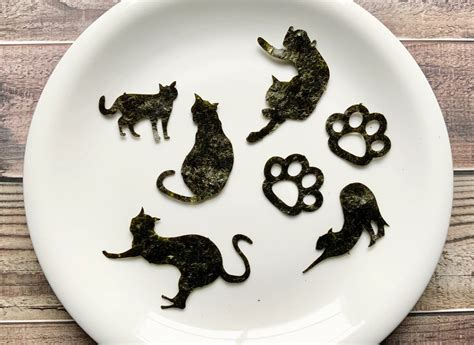 Can Cats Eat Seaweed