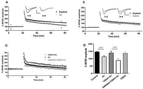 Cannabidiolic Acid Rescues Deficits in Hippocampal Long-Term ...