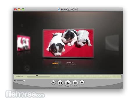 Image result for QuickTime Player Mac OS Desktop