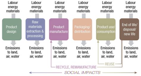 Image result for Life Cycle Approach