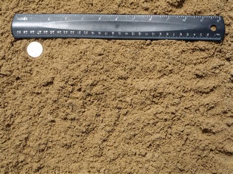 Image result for Fill Sand