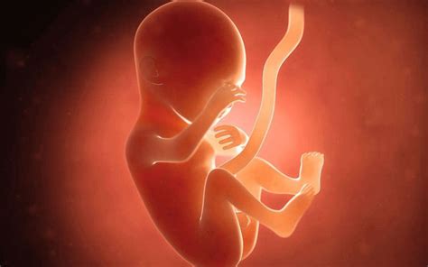 孕27周变化：准妈妈羊水增加，胎宝宝嗅觉形成 - 柚喜问答