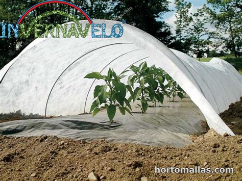 Image result for Cladding Insect Barrier