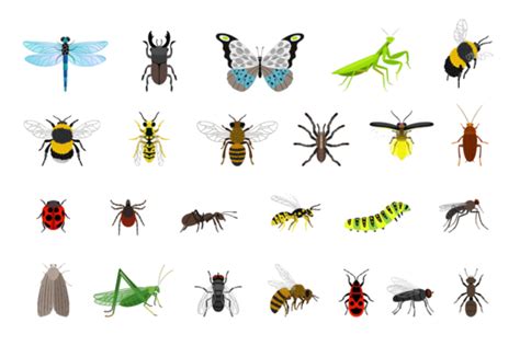 How Insects Fly 的图像结果