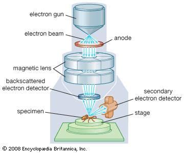 Image result for Scanning Electron Microscope Animation