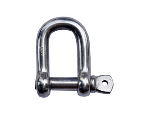 D-Shackle (SS) Manufacturer in Ahmedabad, Gujarat, India