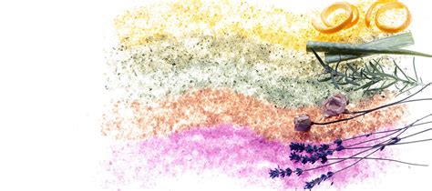 Adare Food Ingredients Pvt Ltd in Anand, Gujarat, India