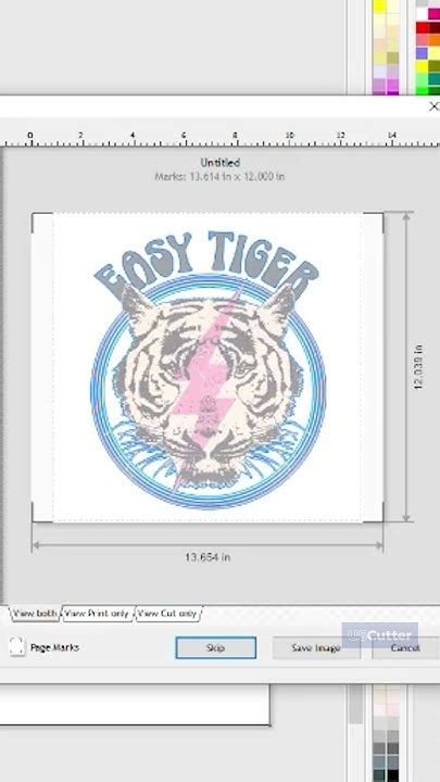 VinylMaster Tutorial 的图像结果