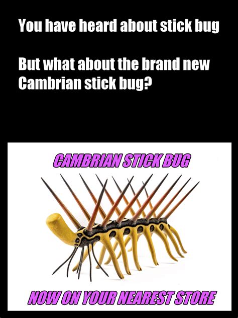 BRAND NEW STICK BUG : r/cambrianmemes